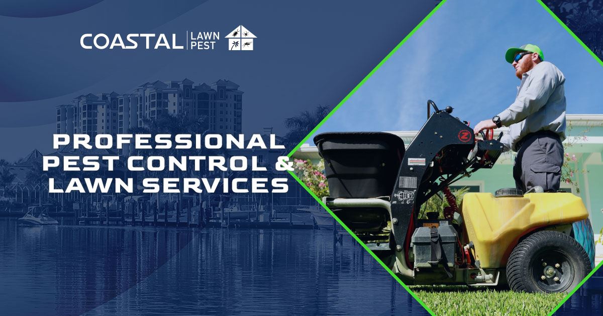 december-2023-blogs-lawn-care-in-cape-coral