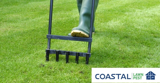 Worker or homeowner aerating lawn care