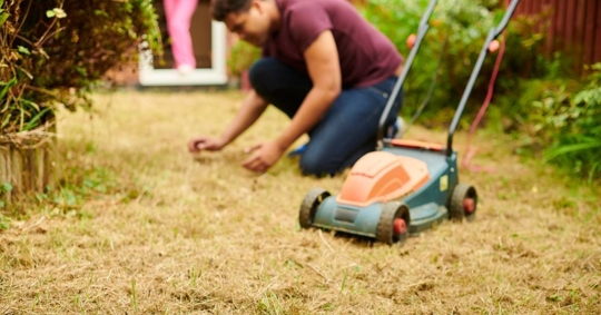 Lawn in need of help