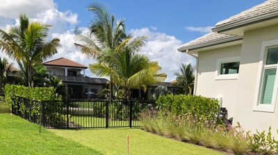 Side by Side lawn we treat vs not Photo