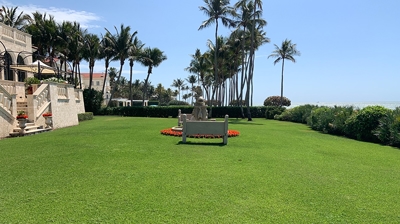 Healthy, Green Lawn Photo