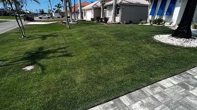 Healthy, Green Lawn Photo