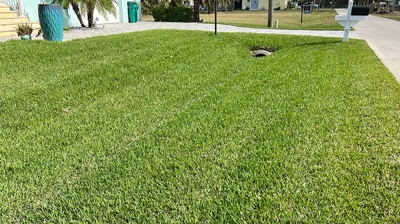 Healthy, Green Lawn Photo