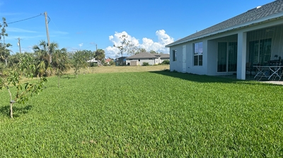Healthy, Green Lawn Photo