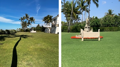 Healthy, Green Lawn Before & After Photo